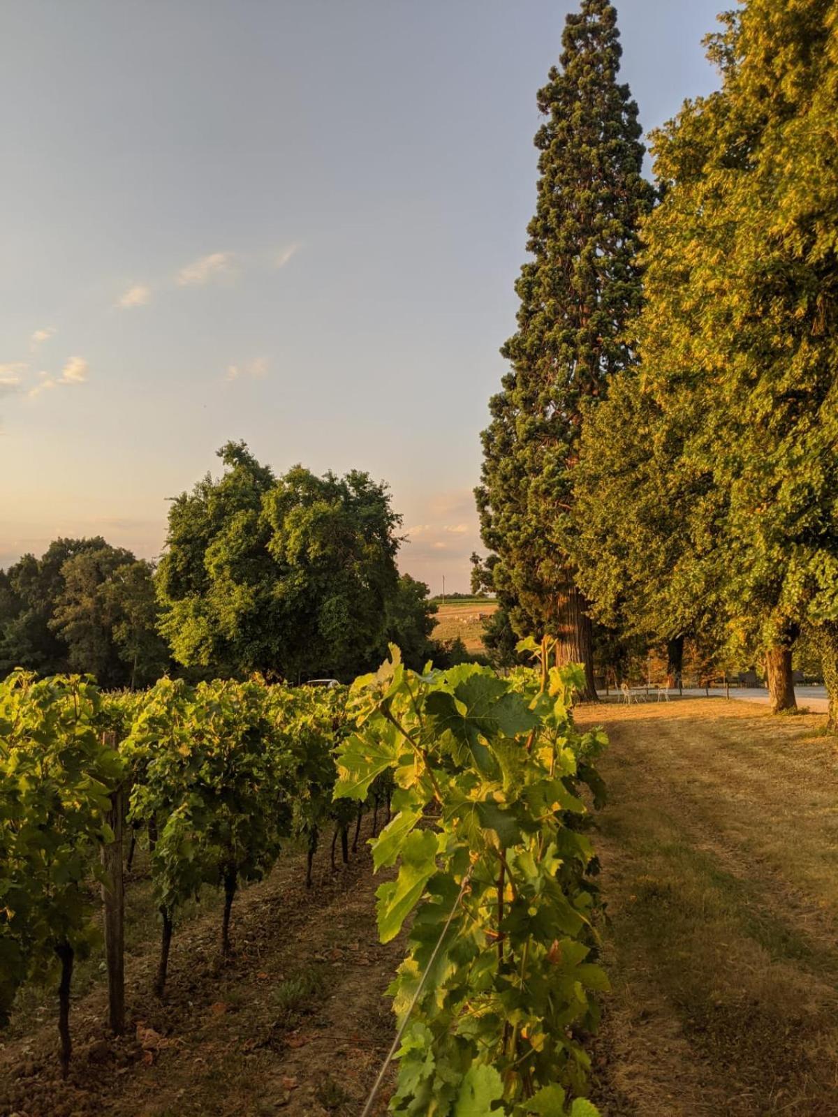 Chateau Carbonneau Pessac-sur-Dordogne Exteriör bild