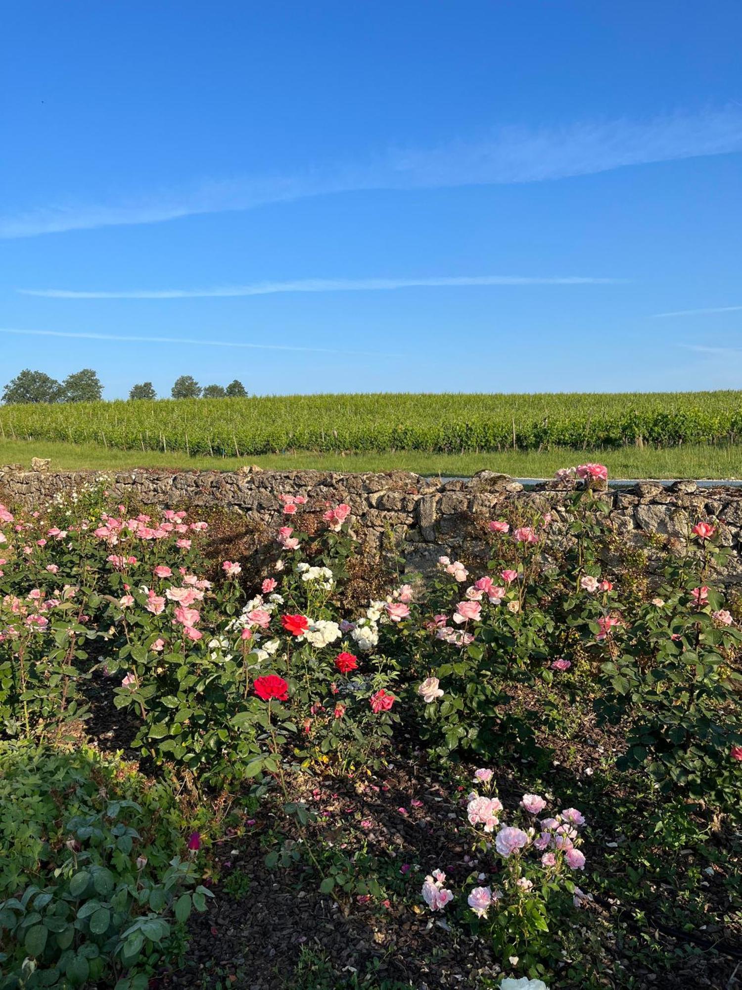 Chateau Carbonneau Pessac-sur-Dordogne Exteriör bild