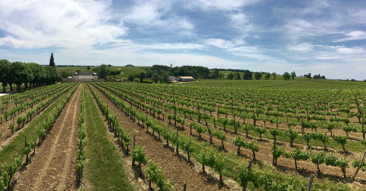Chateau Carbonneau Pessac-sur-Dordogne Exteriör bild